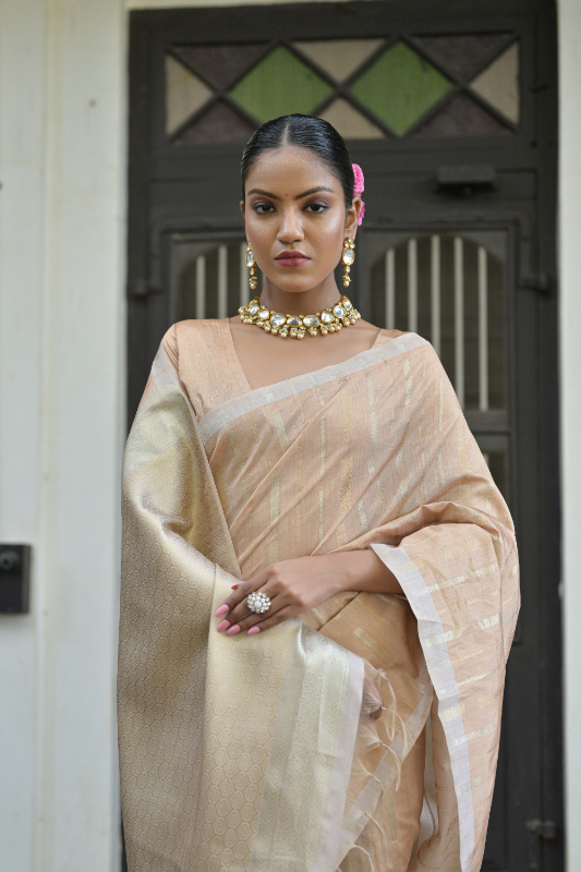 Vaani Tussar Silk