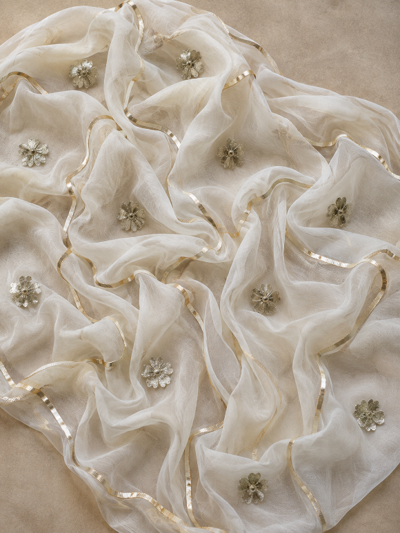 Amarpali Motifs Saree