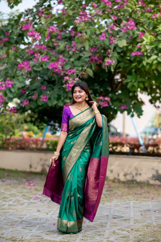 Krishi Banarasi Silk Saree