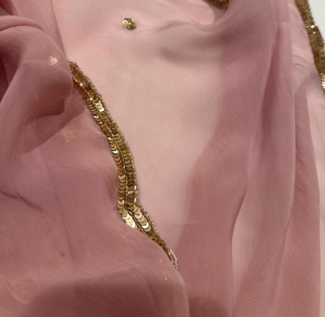 Aahana Sequin Saree