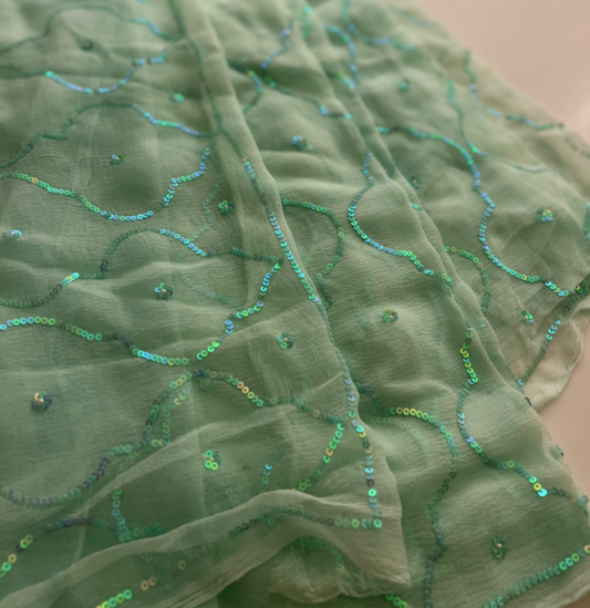 Maharani Sequins Chiffon Saree