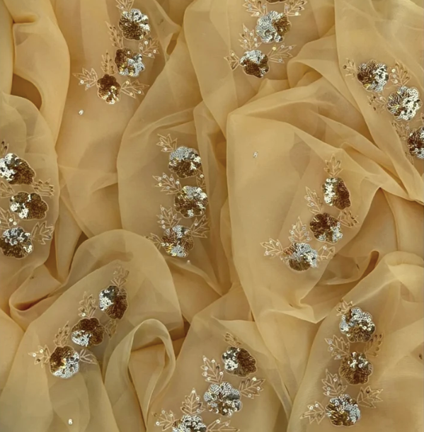 Beige Sequin Saree