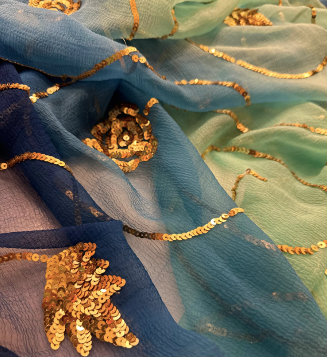 More Sequins Zaal Saree