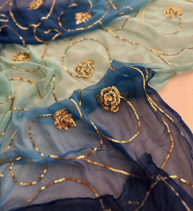 More Sequins Zaal Saree
