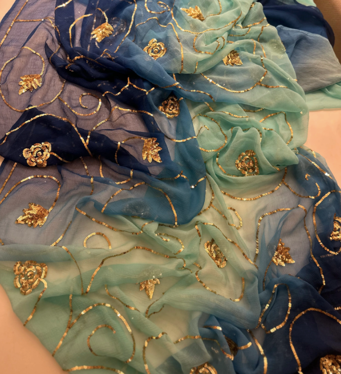 More Sequins Zaal Saree
