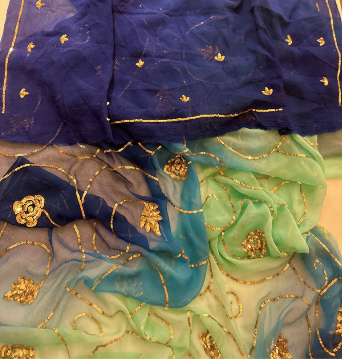 More Sequins Zaal Saree