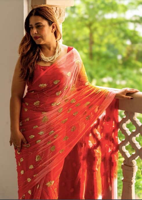Amara Sequin Zaal Chiffon Saree