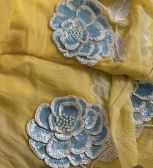 Kalyani Puri Chiffon Saree