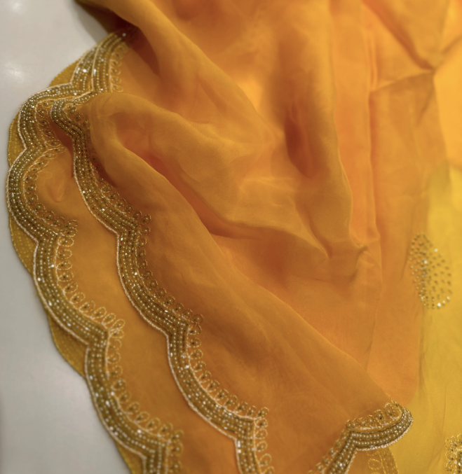 Pakhi Pearl Chiffon Saree