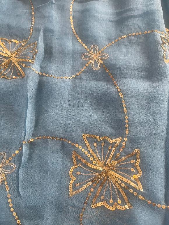 Daisy Sequin Zaal Chiffon Saree