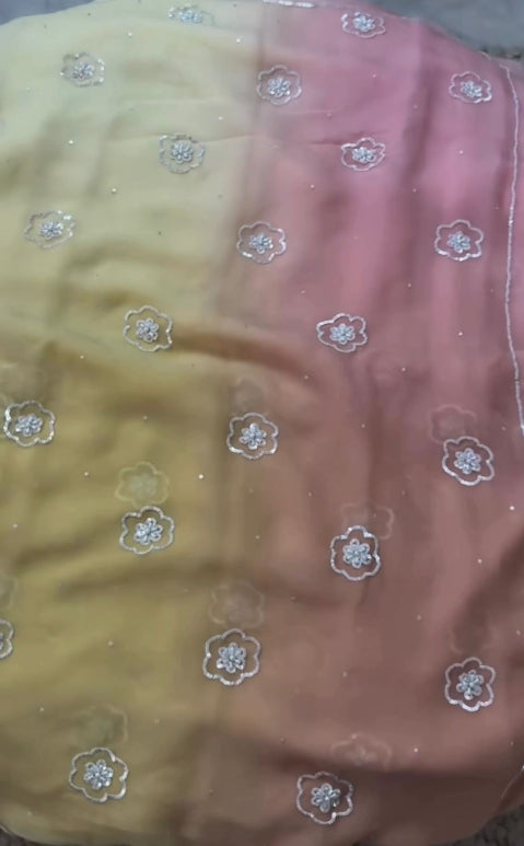Phool Sequins Pure Chiffon Saree