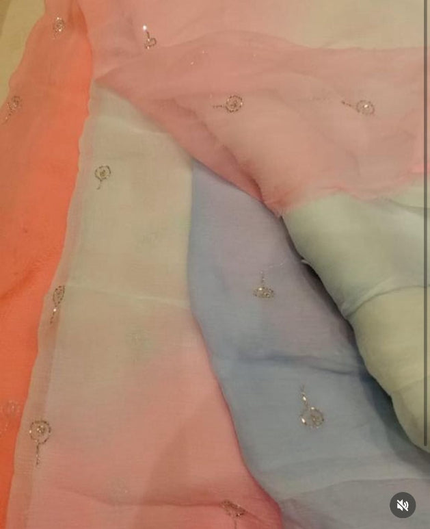 Bindiya Cutdana Chiffon Saree