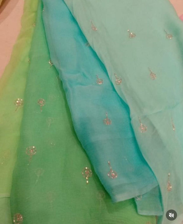 Bindiya Cutdana Chiffon Saree