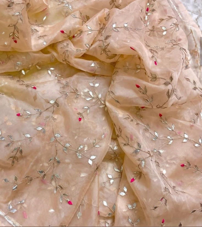 Raaga Organza Saree