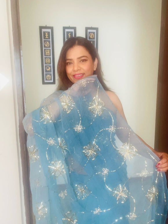 Daisy Sequin Zaal Chiffon Saree