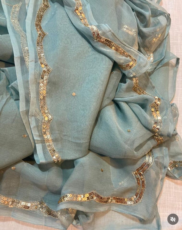 Aahana Sequin Saree