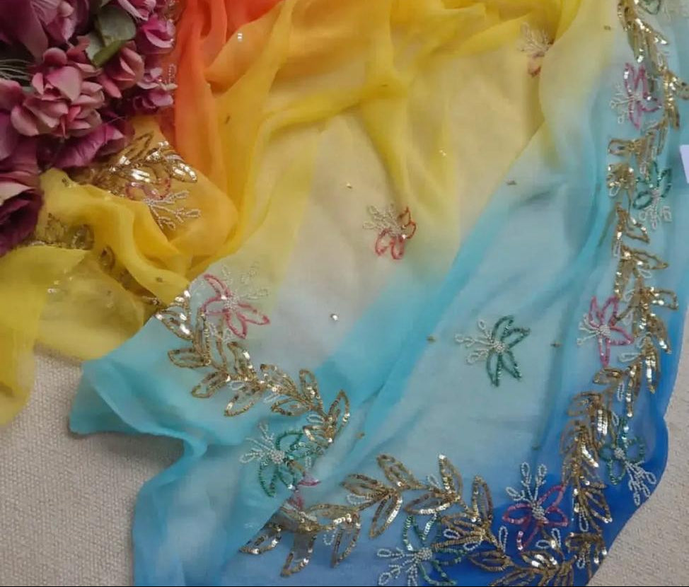 Kaner Sequins Saree