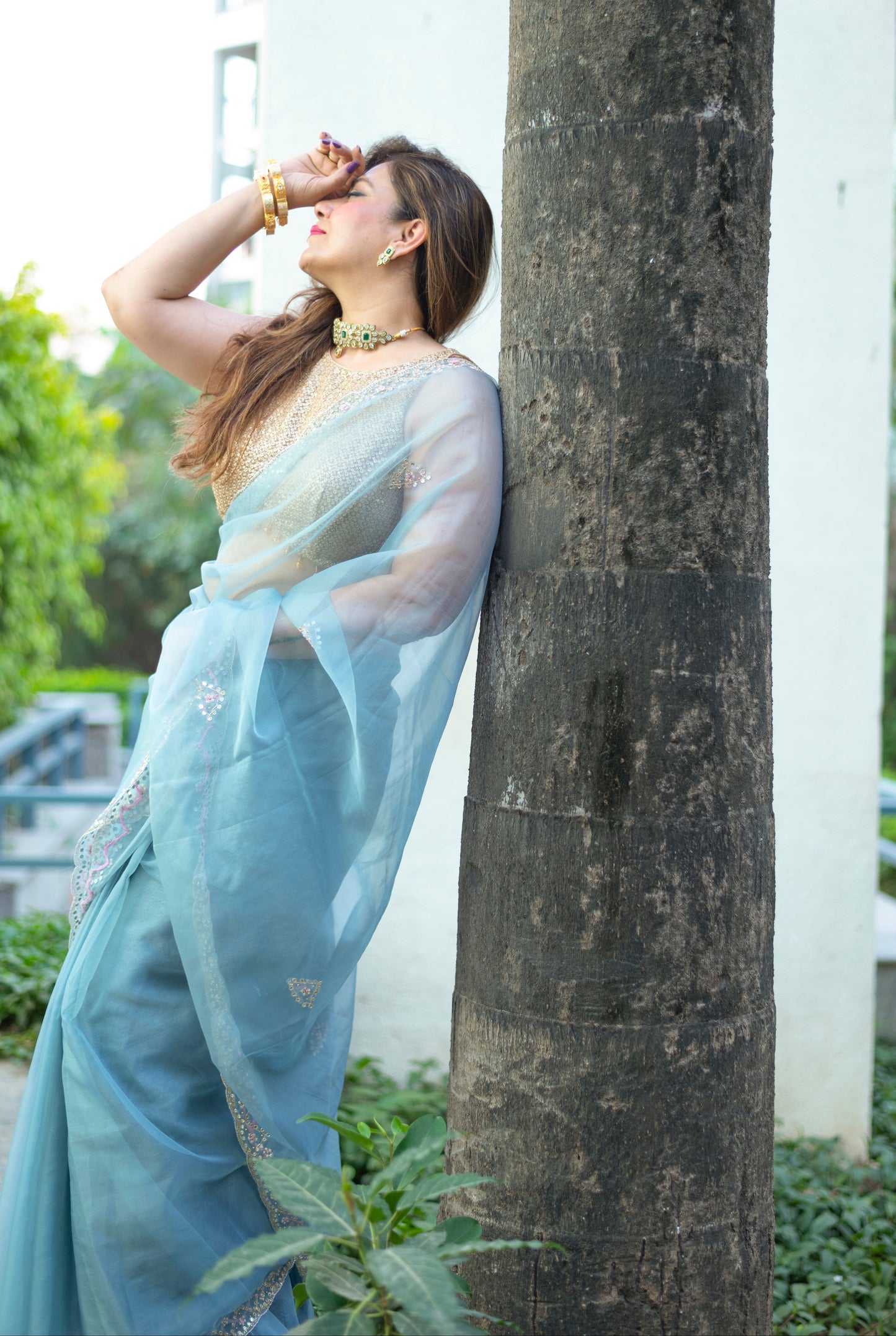 Khandani Tissue Saree