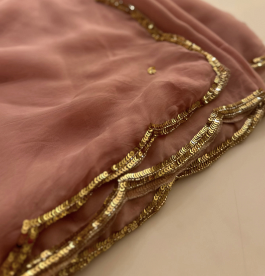 Aahana Sequin Saree