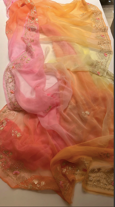 Rangrez Zari Chiffon Saree