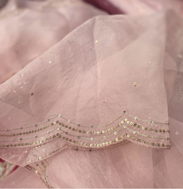 Rani Tissue Saree