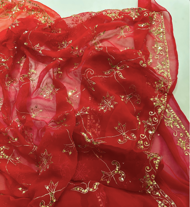 Sitara Saree