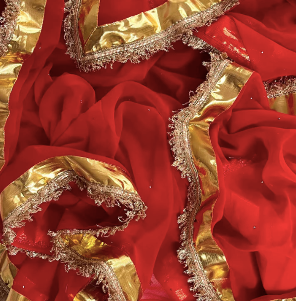 Ruhaniyat Gotta Chiffon Saree