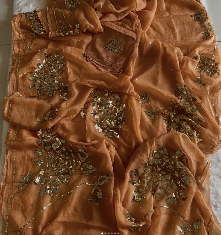 Rimjhim Sequin Saree