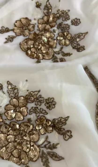 Firoza Sequin Chiffon Saree
