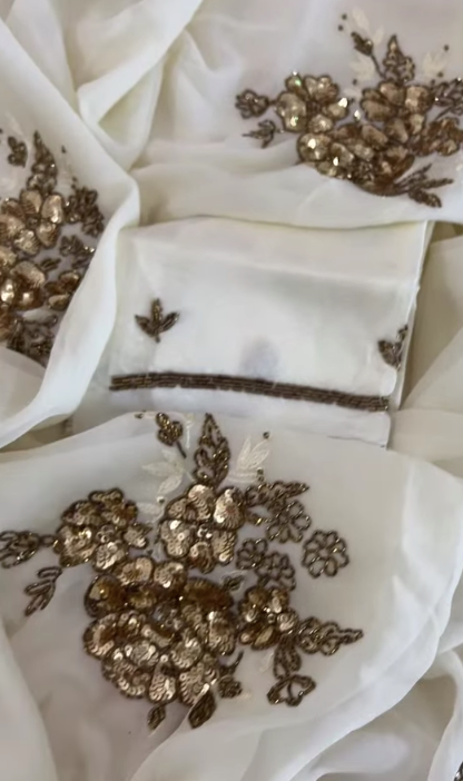 Firoza Sequin Chiffon Saree
