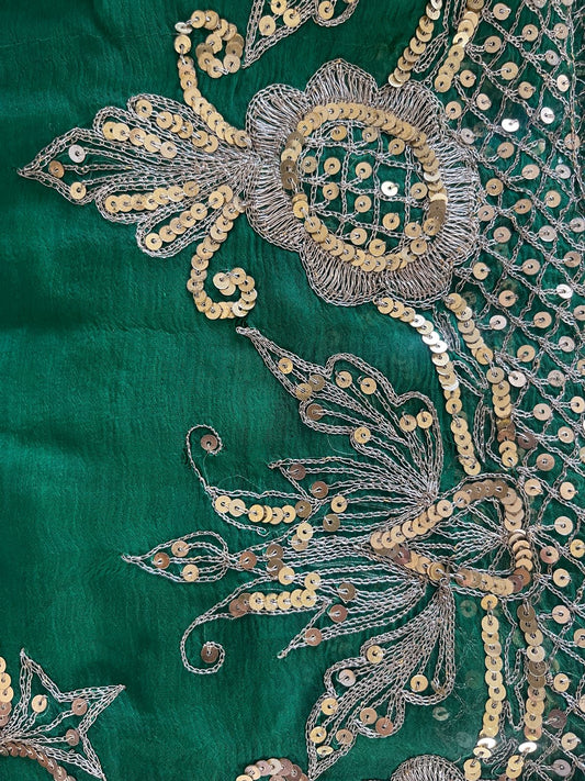 Zari Aari Sequins Zaal Chiffon Saree