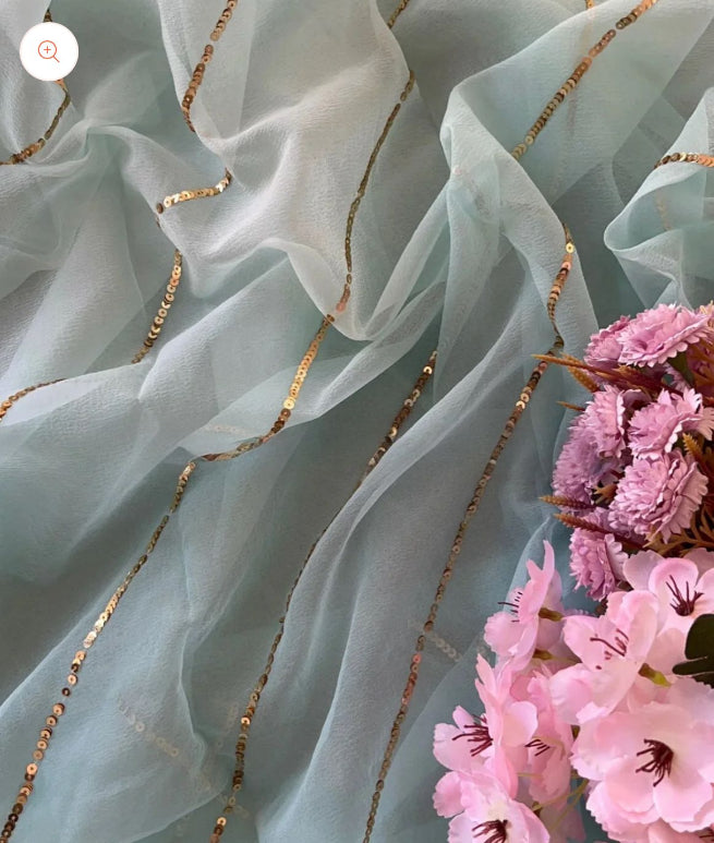 Mira Sequins Line Chiffon Saree