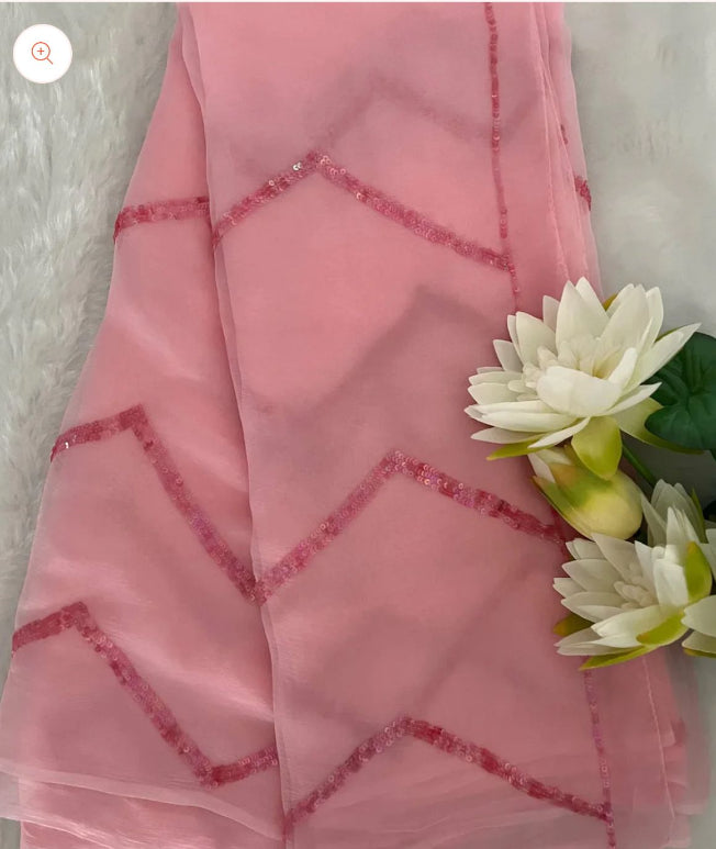 Mira Sequins Line Chiffon Saree