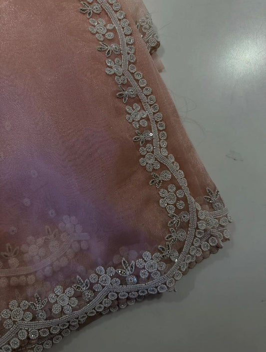 Diya Organza Saree