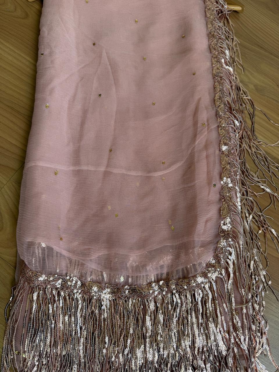 Fringe Sequins Saree