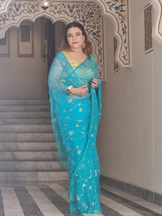 Brisa Zaal Chiffon Saree