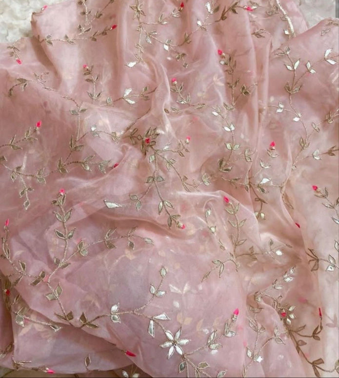 Raaga Organza Saree