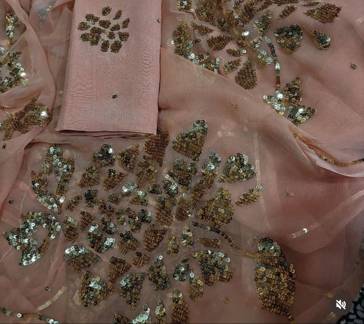 Rimjhim Sequin Saree