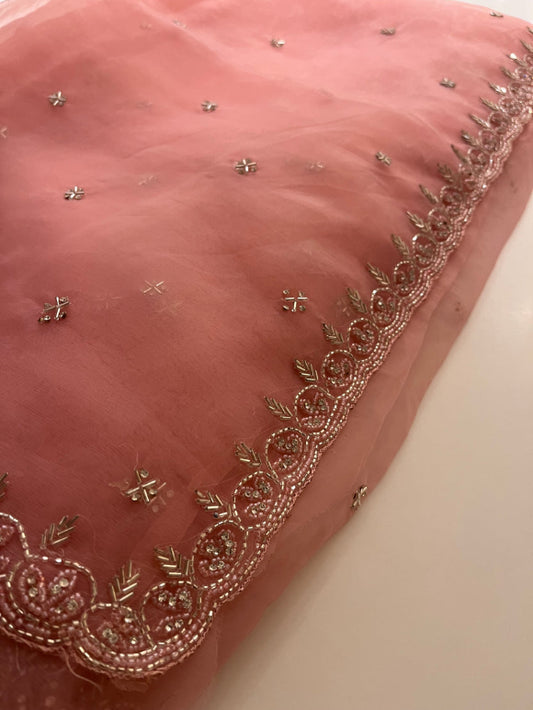 Albeli Organza Saree