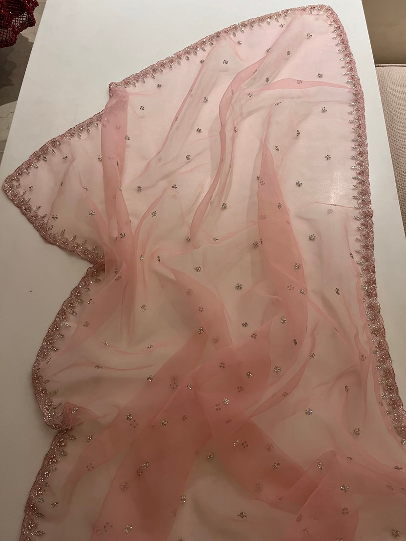 Albeli Organza Saree