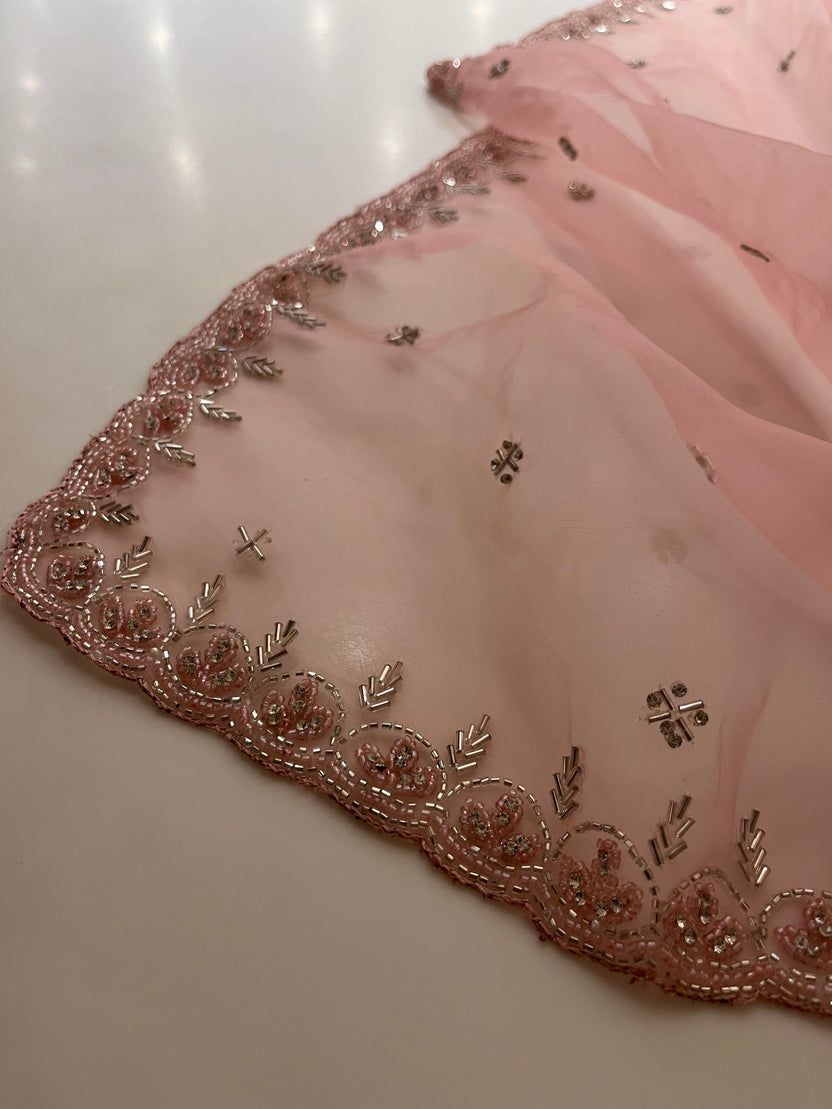 Albeli Organza Saree