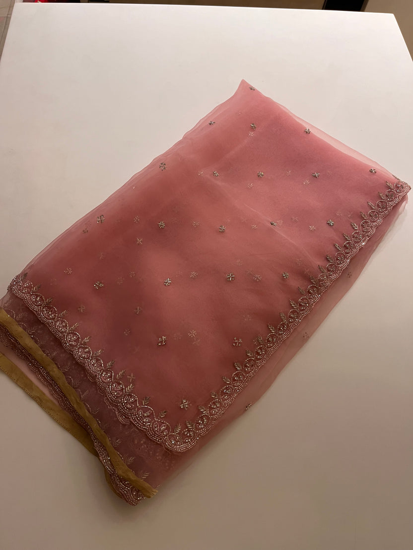 Albeli Organza Saree